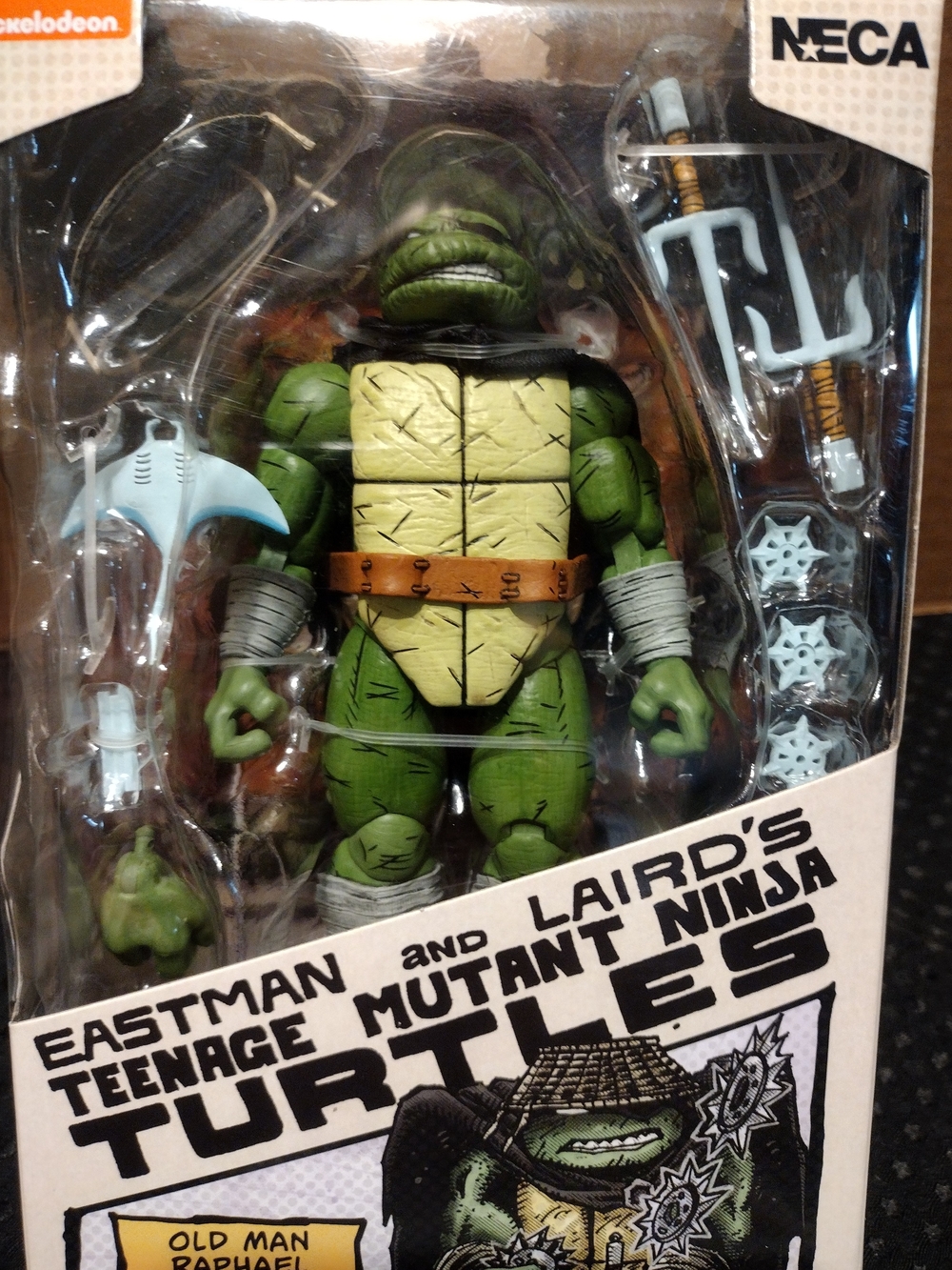 Teenage Mutant Ninja Turtles Old Man Raphael Action Figure - Green 7"